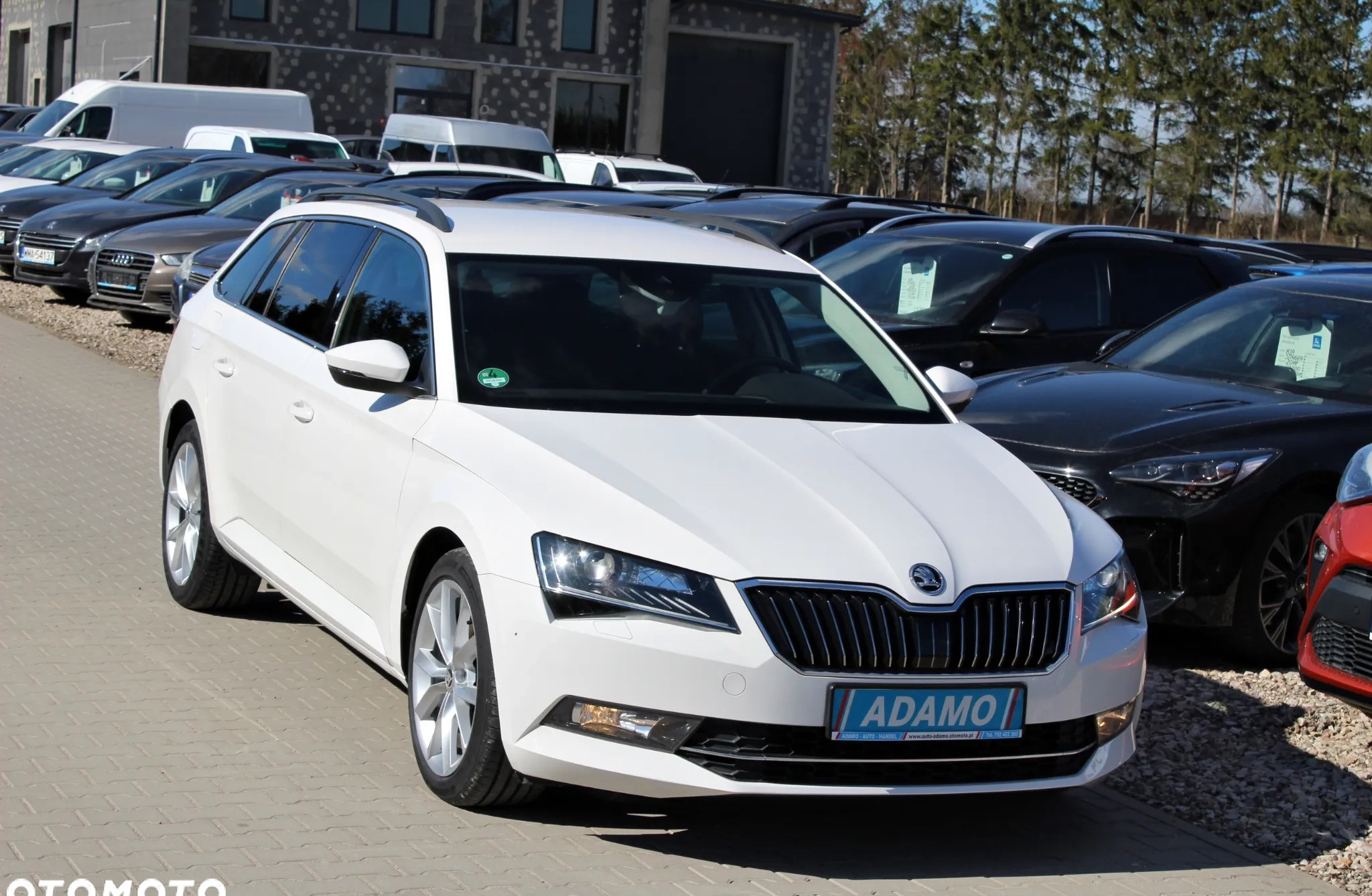 Skoda Superb cena 99507 przebieg: 135000, rok produkcji 2019 z Ostrów Lubelski małe 352